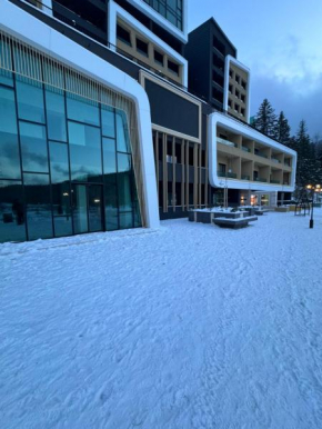 Bjelašnica Apartman Winter Park